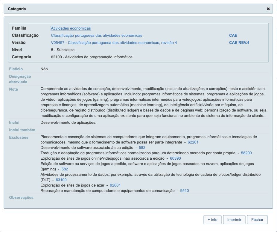 INE category details for CAE 62100 showing its description, included work and exclusions